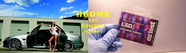 СК Алзамай