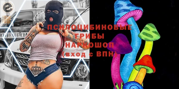СК Алзамай