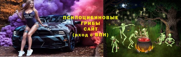 прущие крисы Абаза